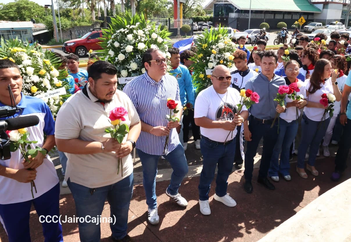 FLORES6
