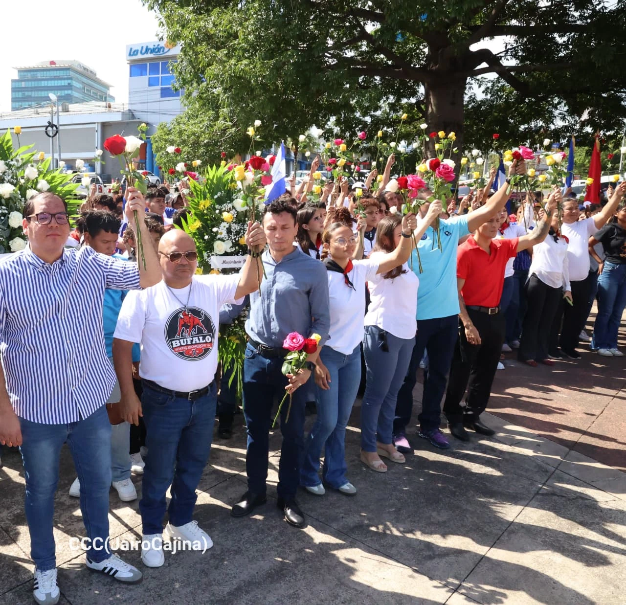 FLORES9