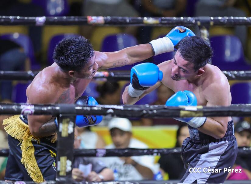 Boxeo--(10)