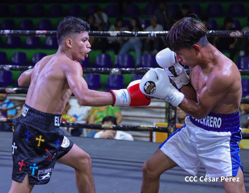 Boxeo--(11)