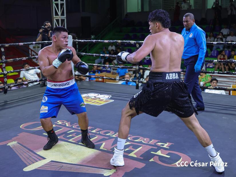 Boxeo--(17)