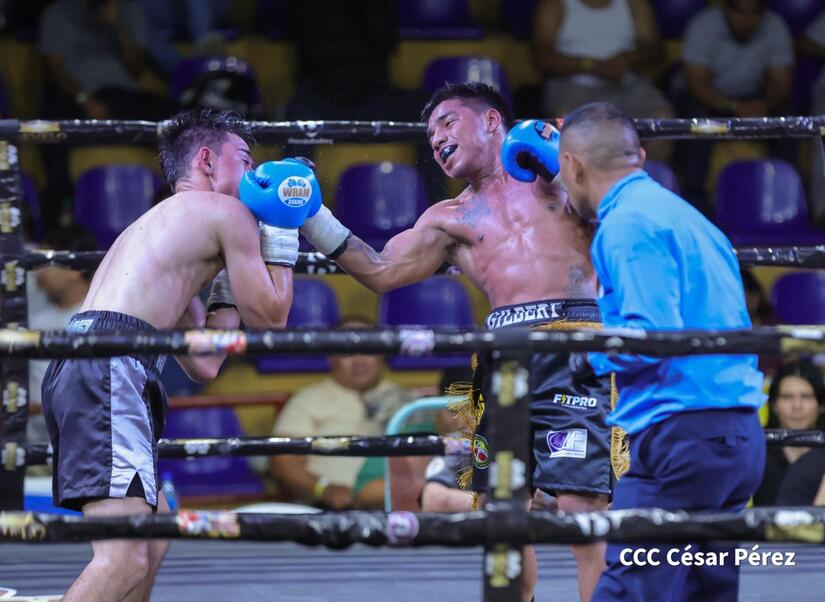Boxeo--(18)