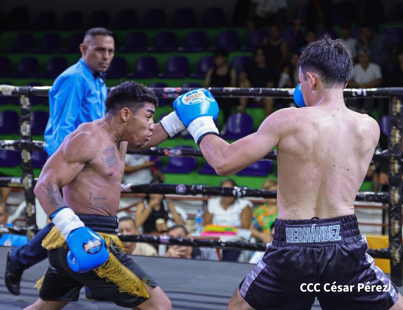 Boxeo--(31)