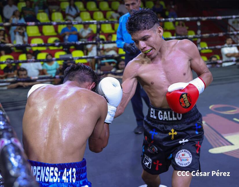 Boxeo--(35)