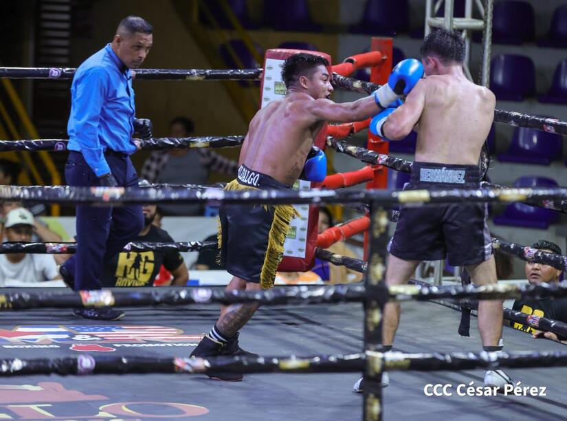 Boxeo--(40)