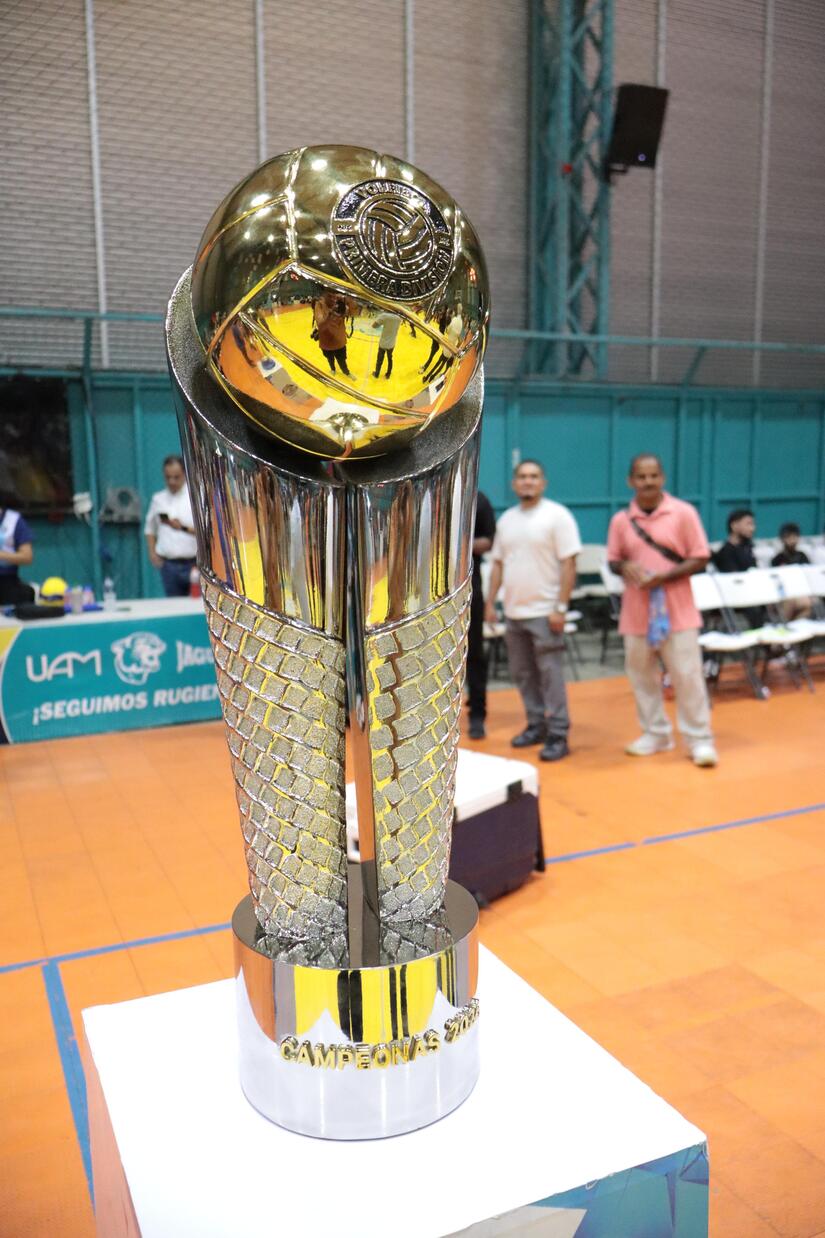 Voleibol--(9)