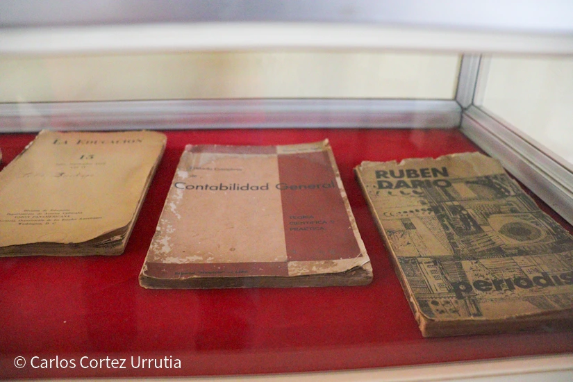 MUSEO11