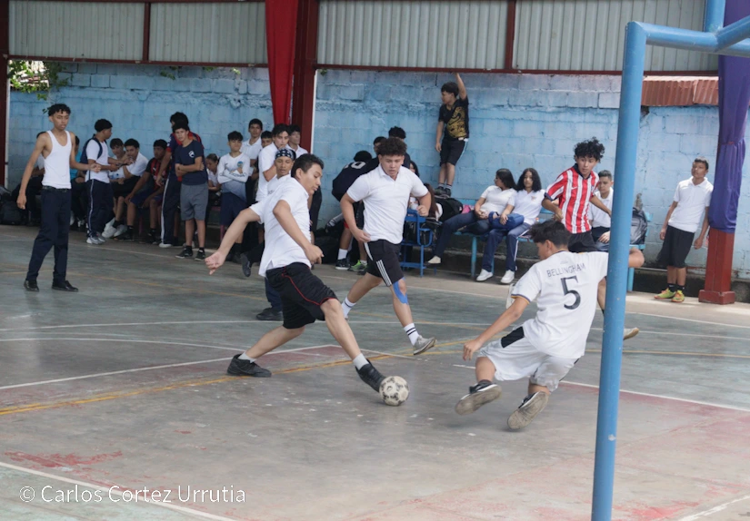 OLIVARES12