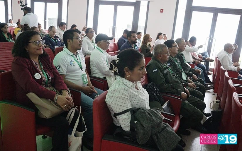 IPSA15
