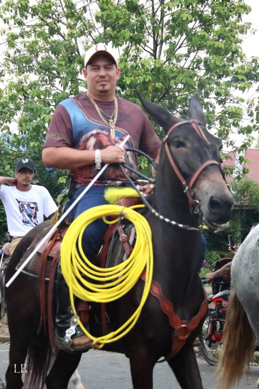 Bonanza--(13)