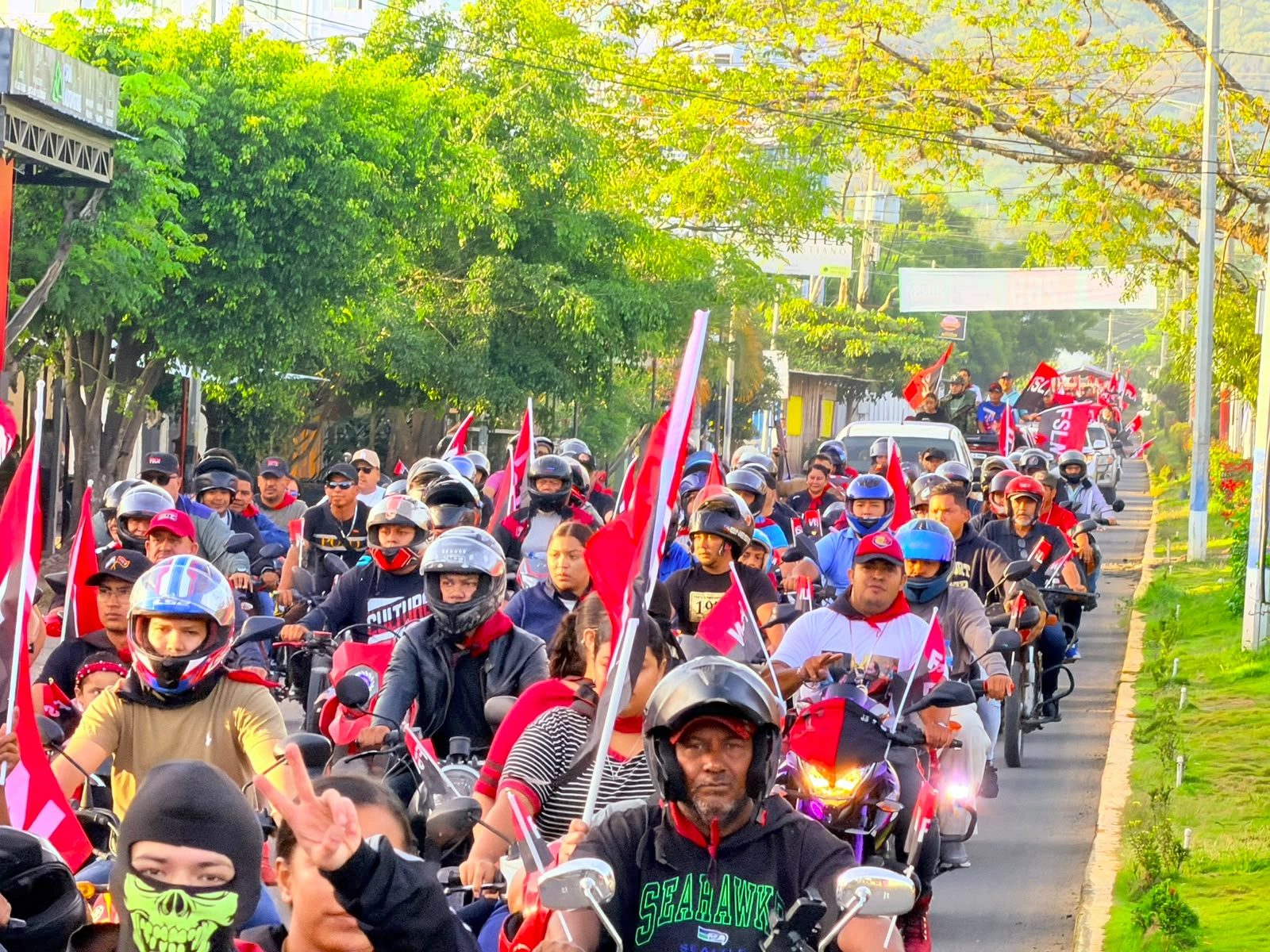 ESTELI-(13)