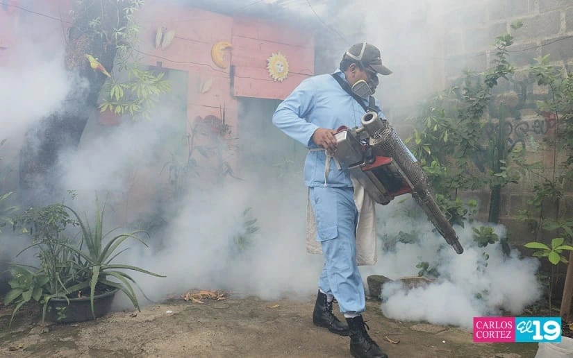 FUMIGACION1