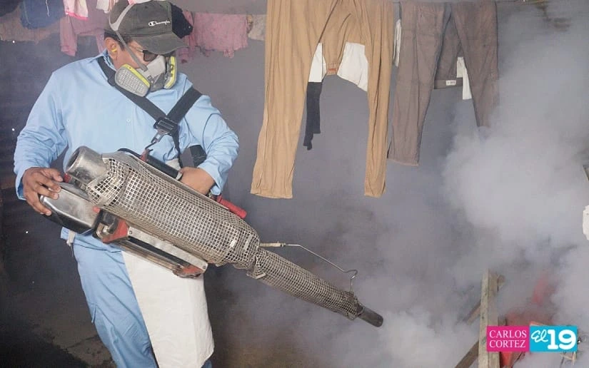 FUMIGACION4