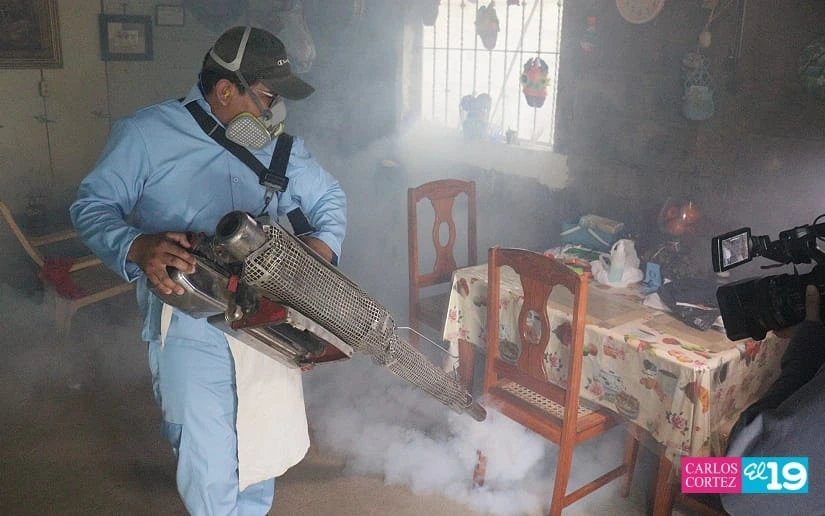 FUMIGACION6