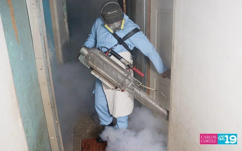 FUMIGACION7