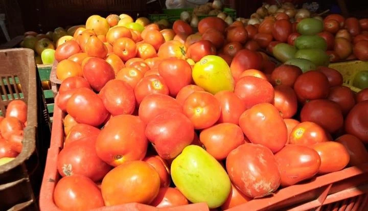 TOMATE2