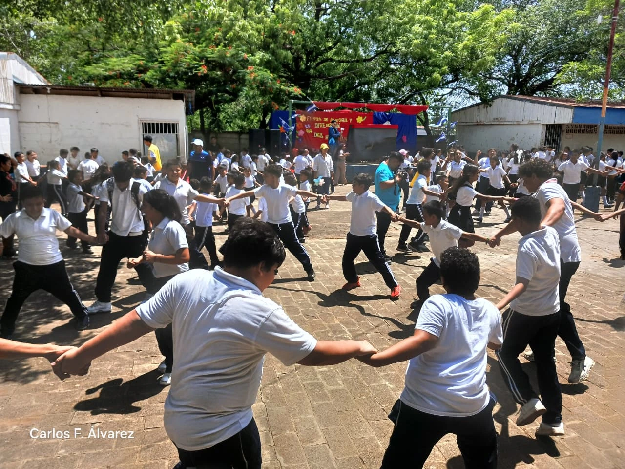 COLEGIO11