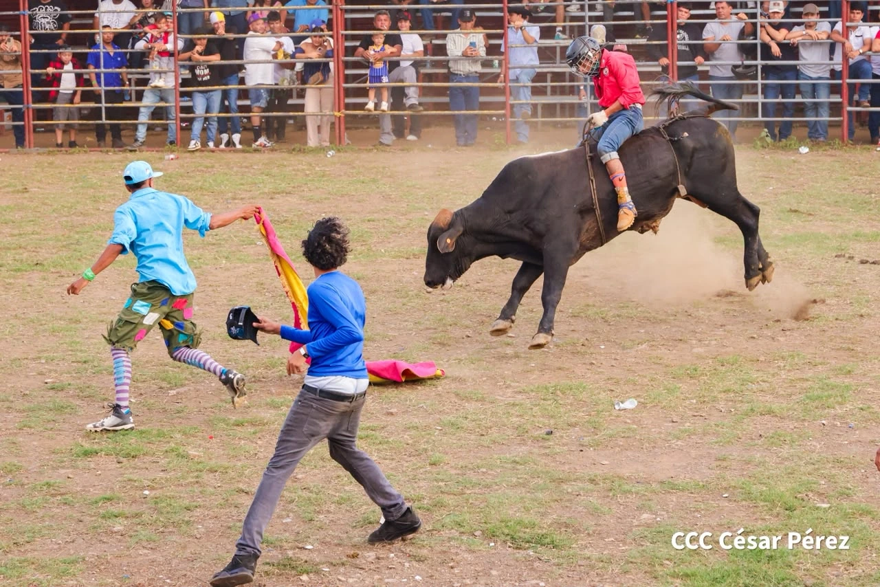 TOROS-(1)
