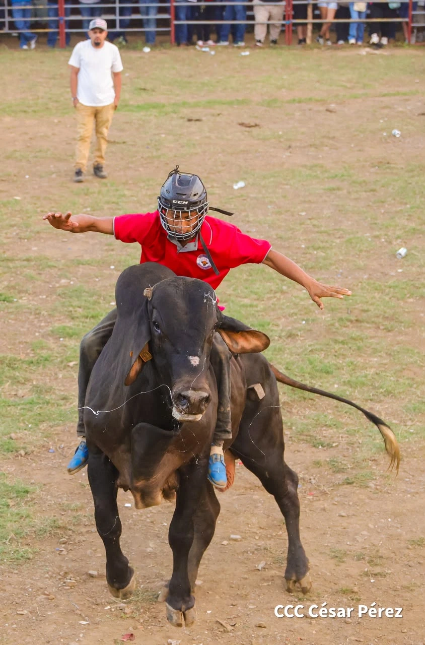TOROS-(12)