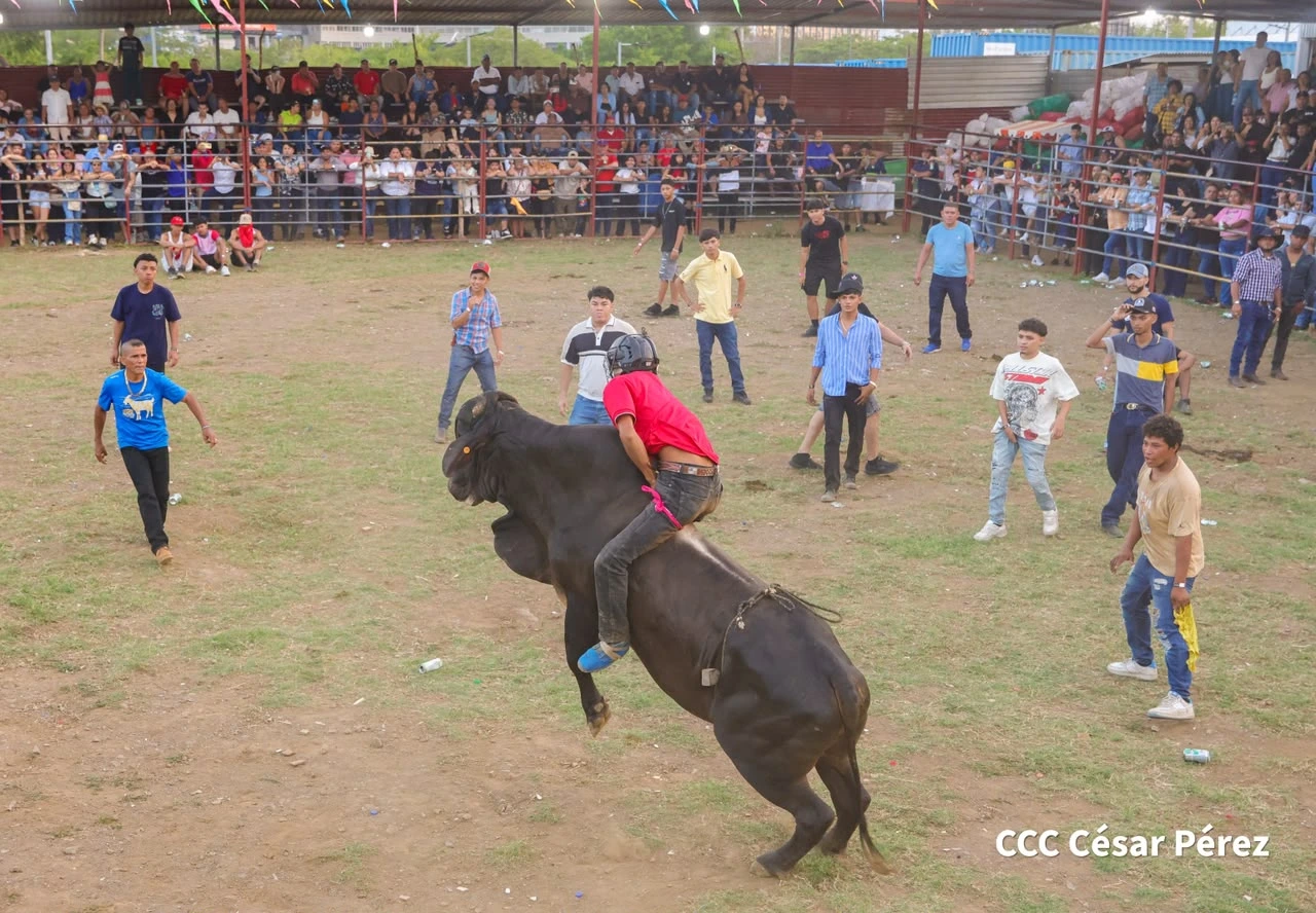 TOROS-(13)