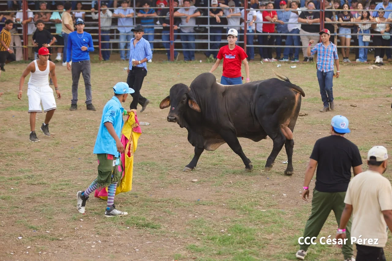 TOROS-(15)