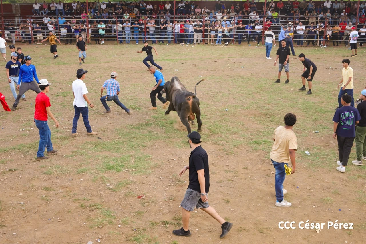 TOROS-(17)