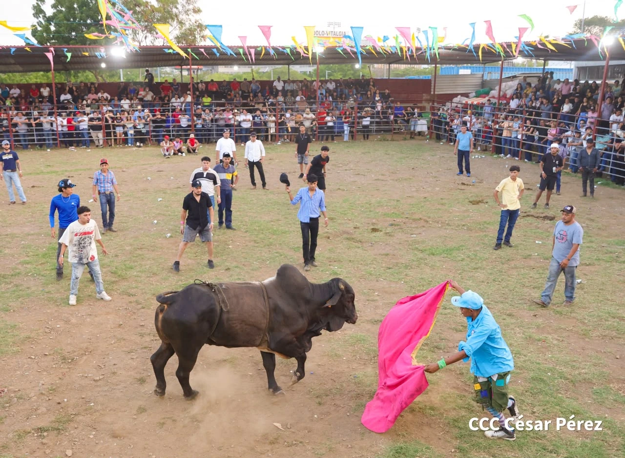 TOROS-(2)