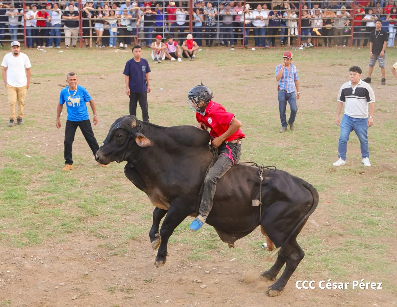TOROS-(4)