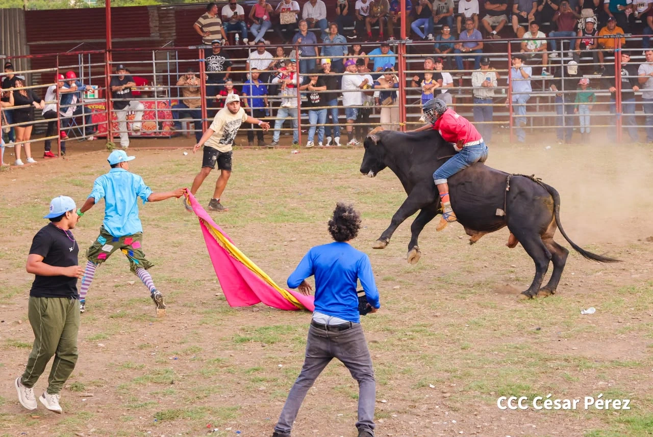 TOROS-(5)