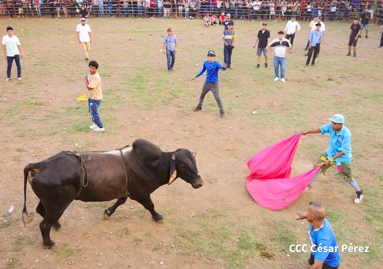 TOROS-(6)