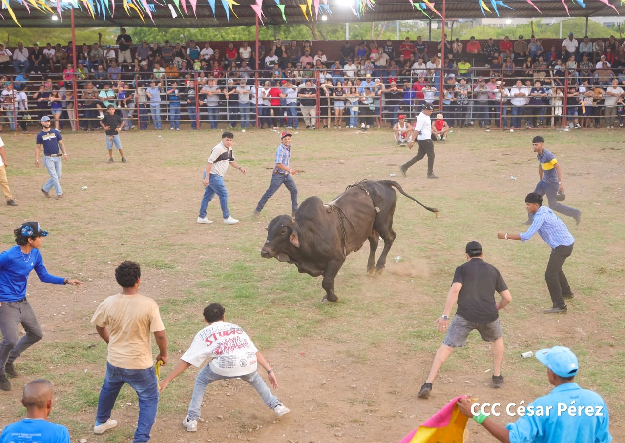 TOROS-(8)