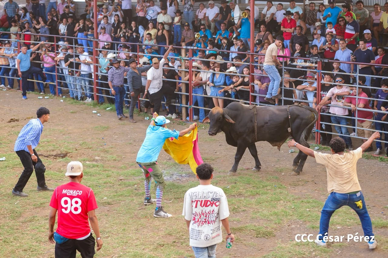 TOROS-(9)