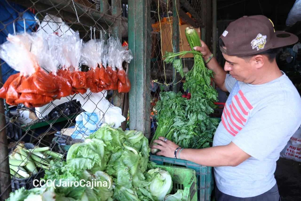 MERCADO1