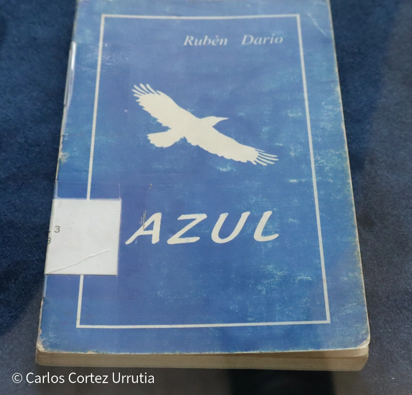 AZUL1