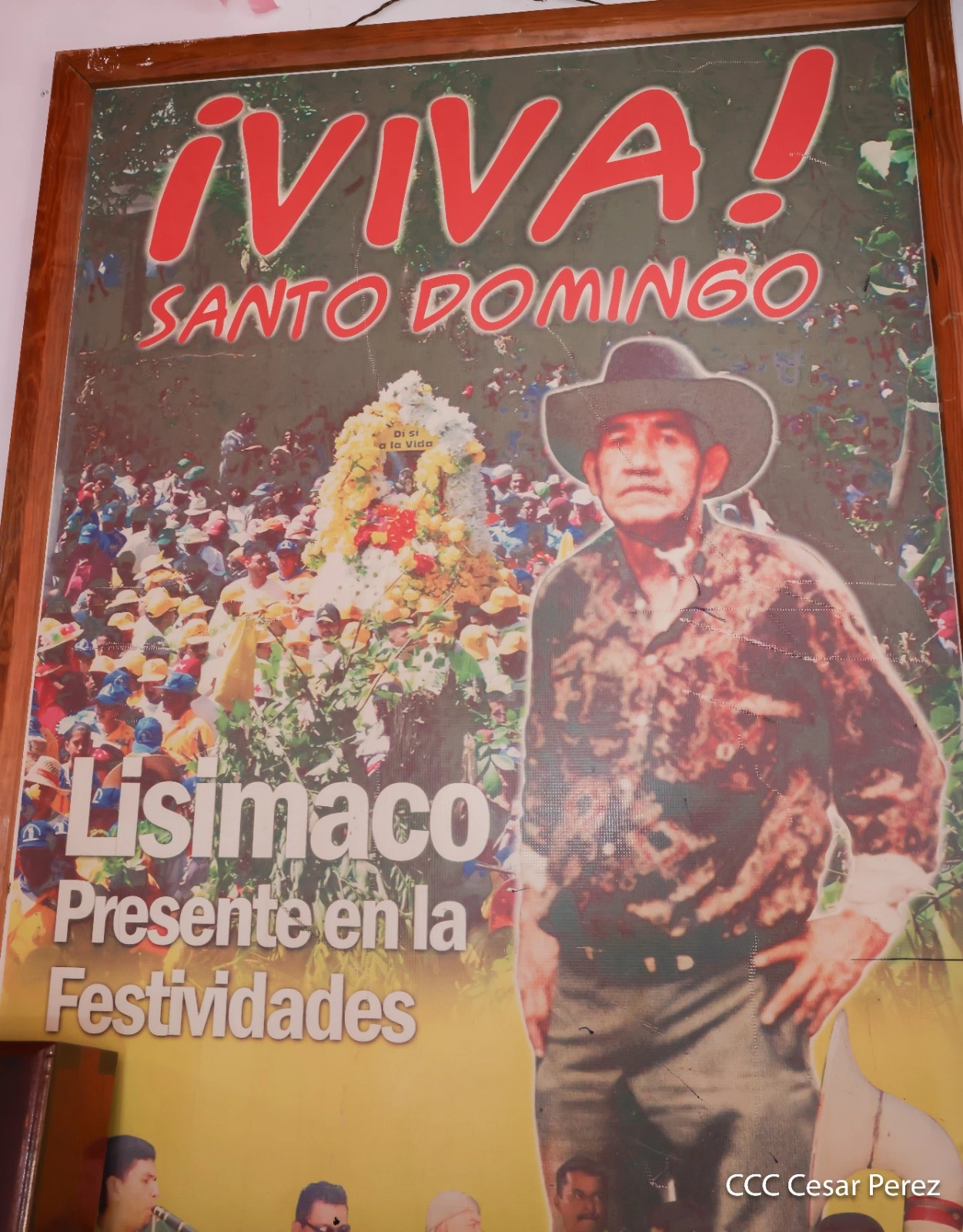 LISIMACO3