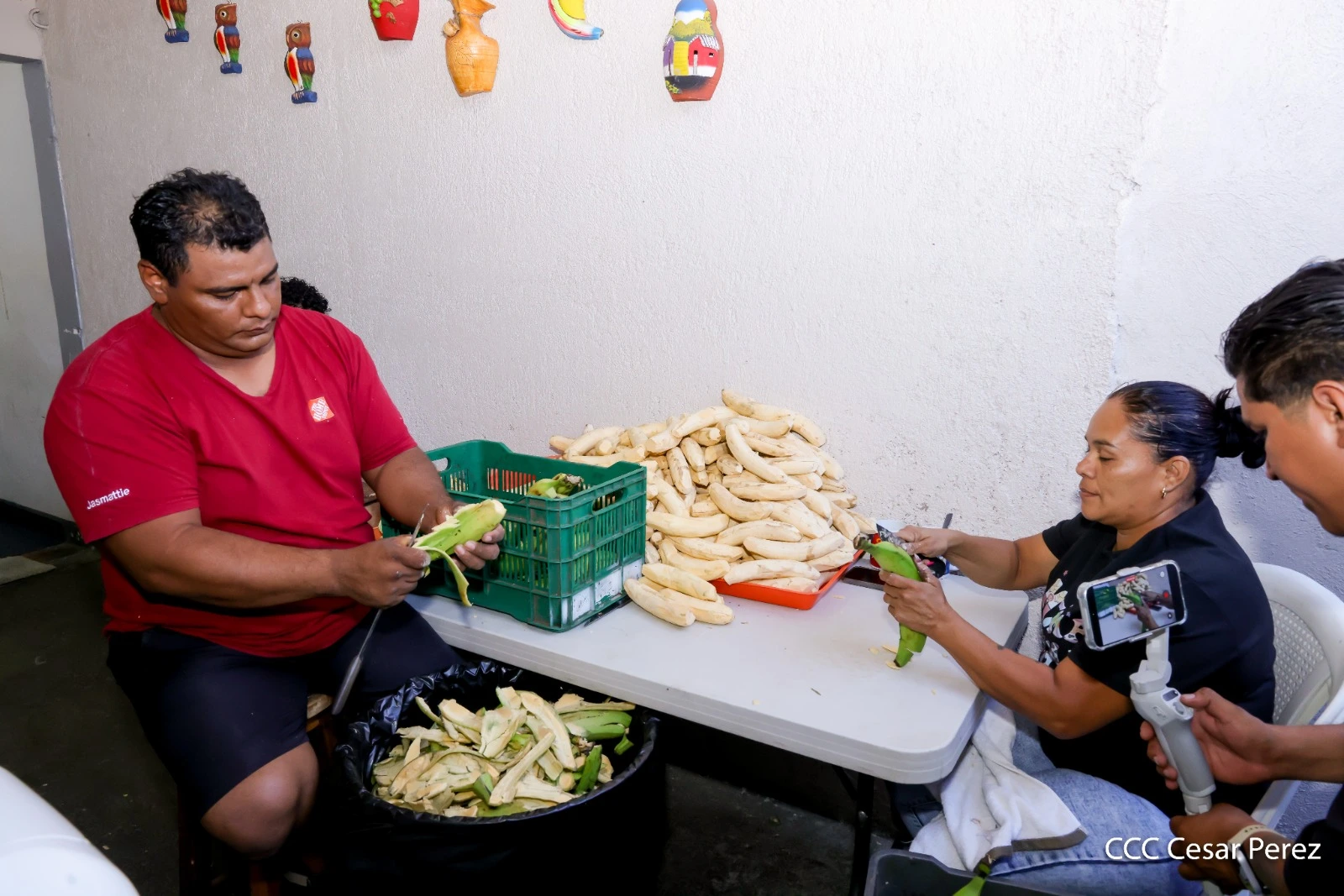 LISIMACO8