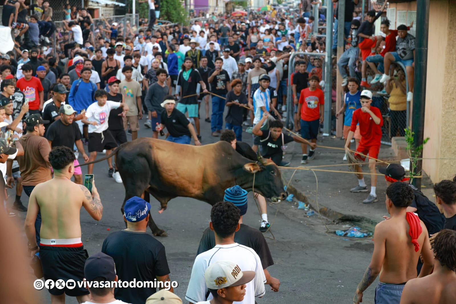 VACAS6
