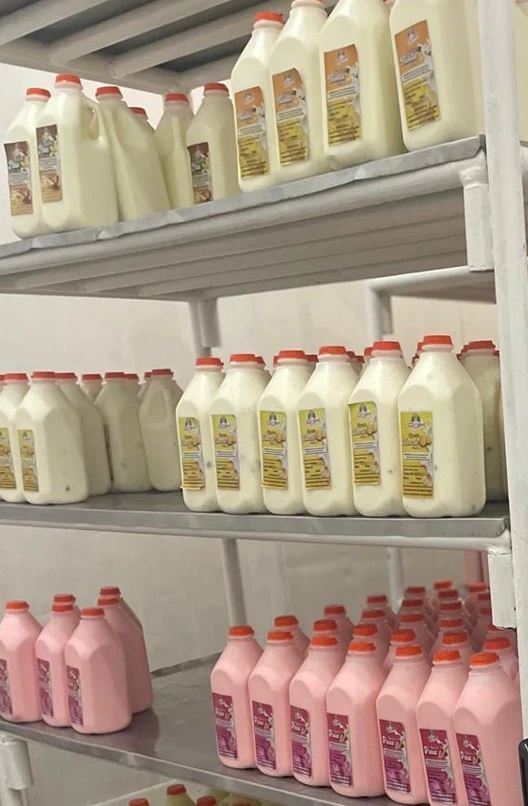 LECHE2