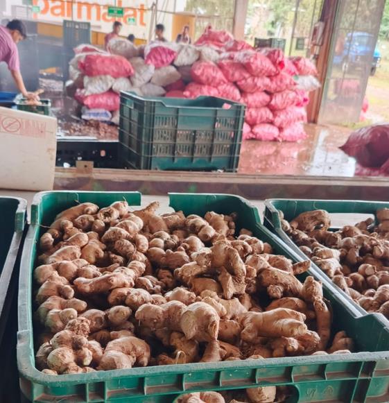 MAG-4