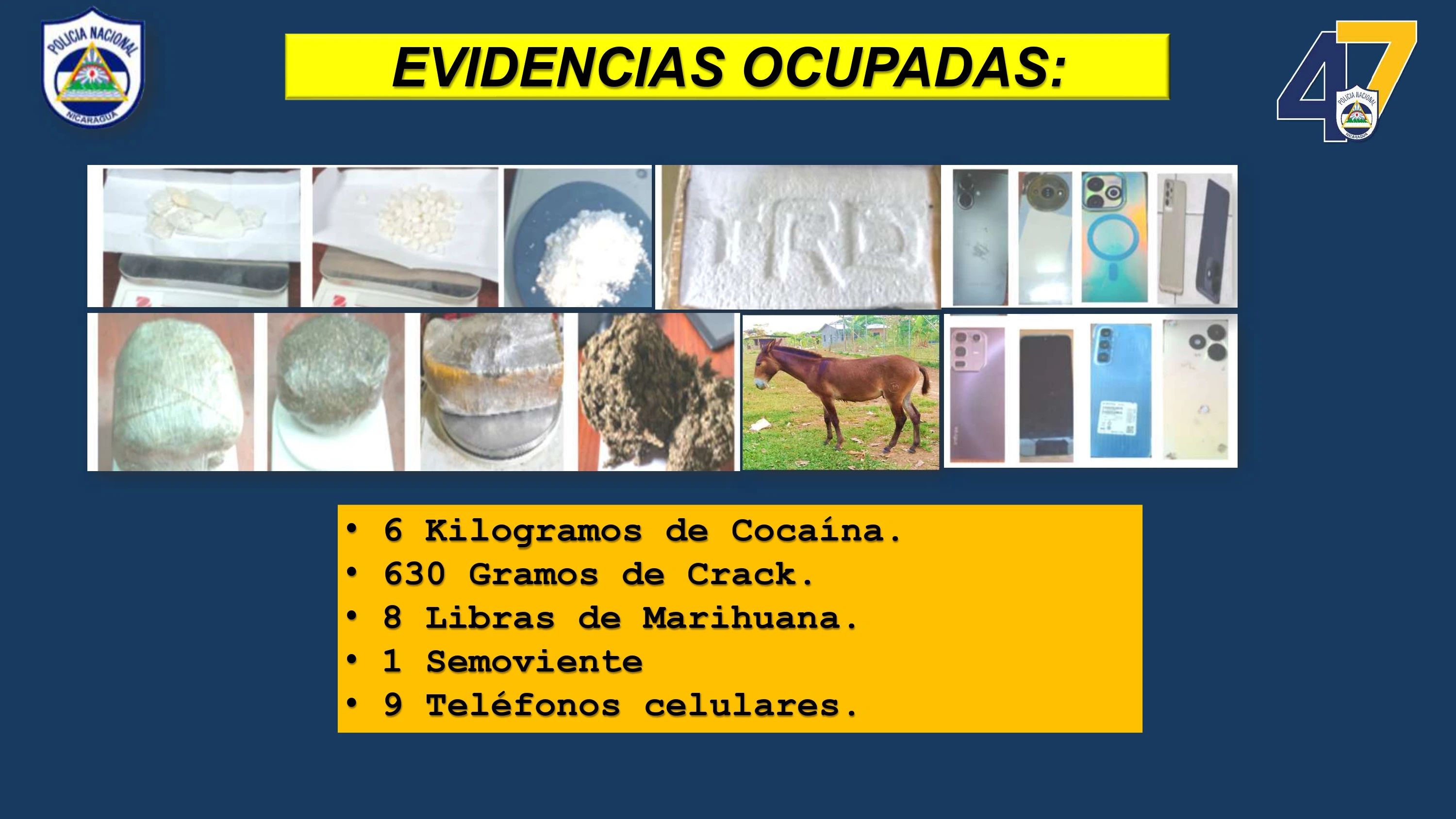 SEGURIDAD7