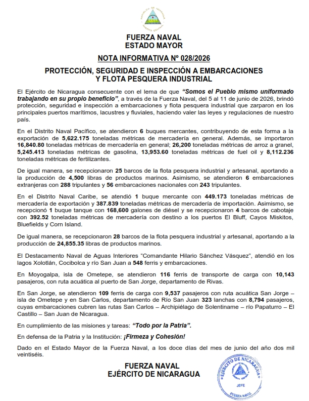 DRPE-NI-N&deg;-028-EMFN-RESUMEN-NAVAL_001