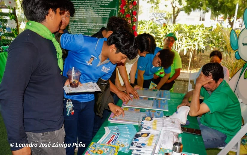 VERDE-(17)