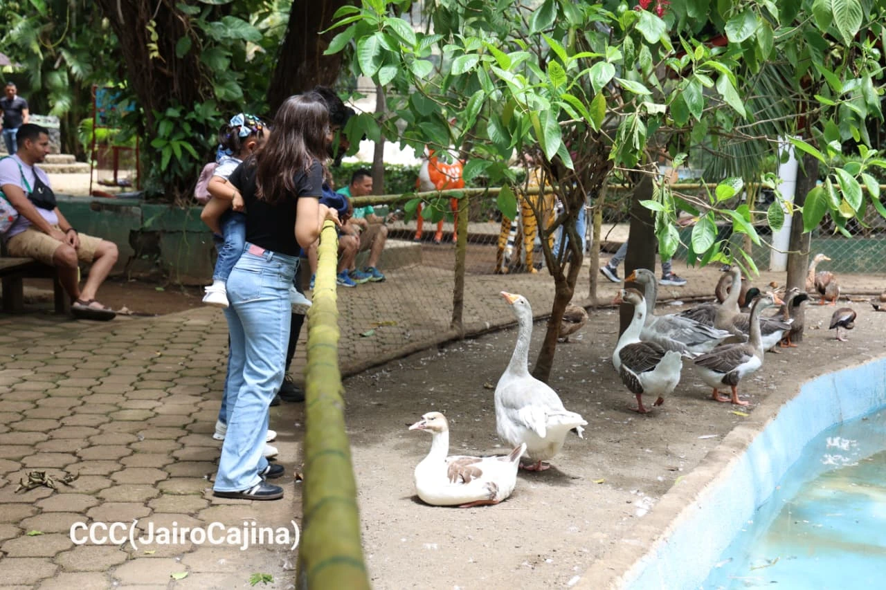 ZOOLOGICO-(11)