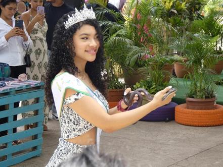 Festival-Verde-12