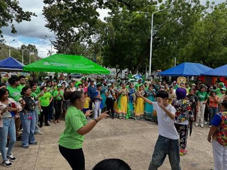 Festival-Verde-13
