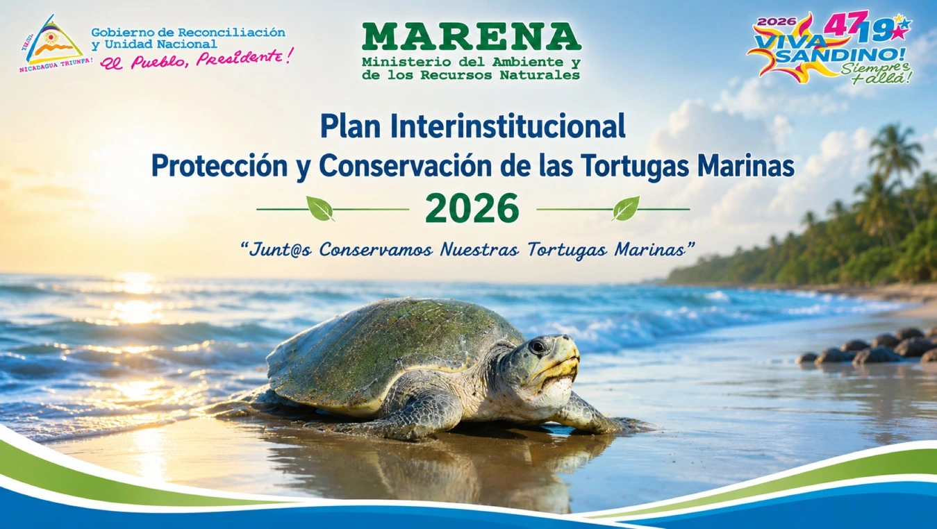 TORTUGAS5