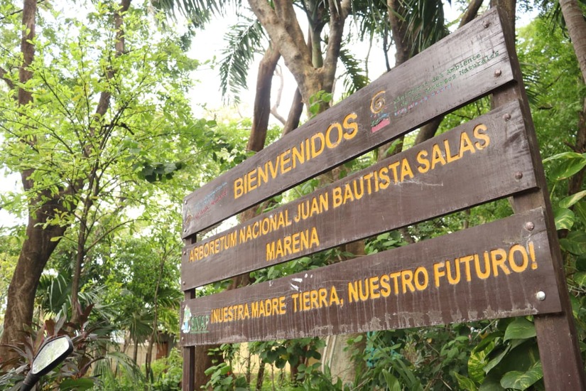 Arboretum-11