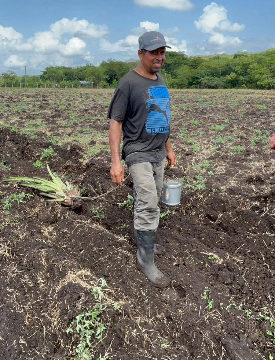 SORGO1