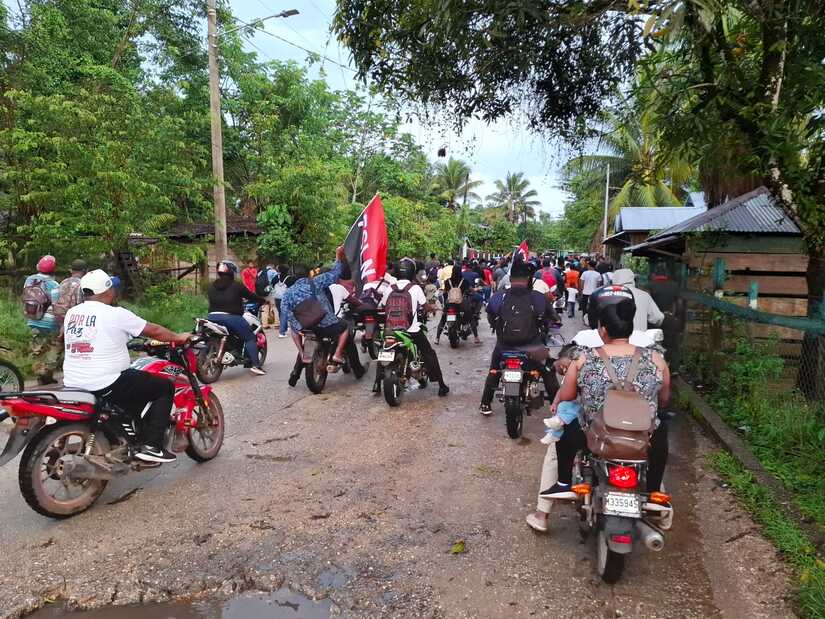 Arbol-de-la-Vida--(25)