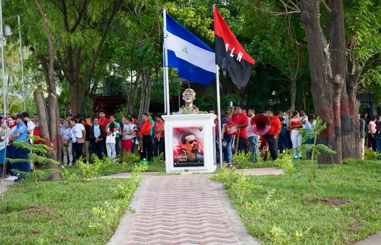 AVENIDA8